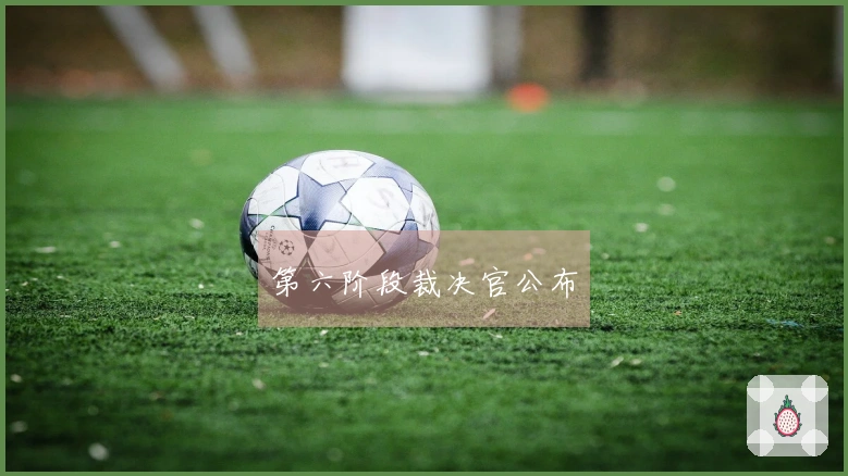 第六阶段裁决官公布